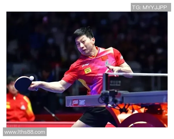 上海排球队的拼搏历程与大满贯梦想的追逐之路 上海排球队的拼搏历程与大满贯梦想的追逐之路