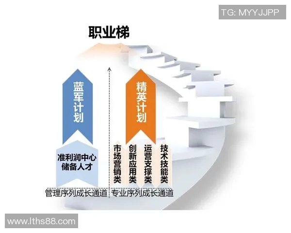 与杨丽对话:探索她在和平精英中的职业生涯与成长历程 与杨丽对话:探索她在和平精英中的职业生涯与成长历程