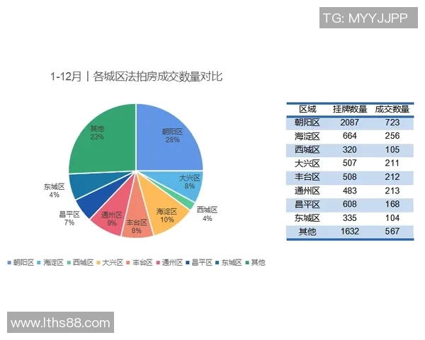 深入探讨北京羽毛球队近期状态与表现的数据分析及其影响因素 深入探讨北京羽毛球队近期状态与表现的数据分析及其影响因素